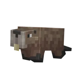 Bobr