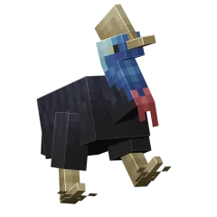 Kasuár