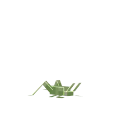 Hnědý Cvrček