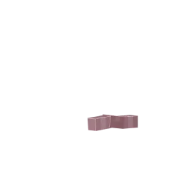 Žížala