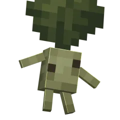 Mandragora