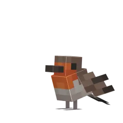 Drozd
