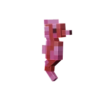 Červený Mořský Koník