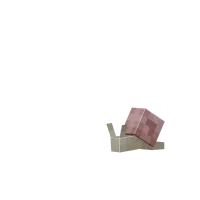 Růžový Šnek